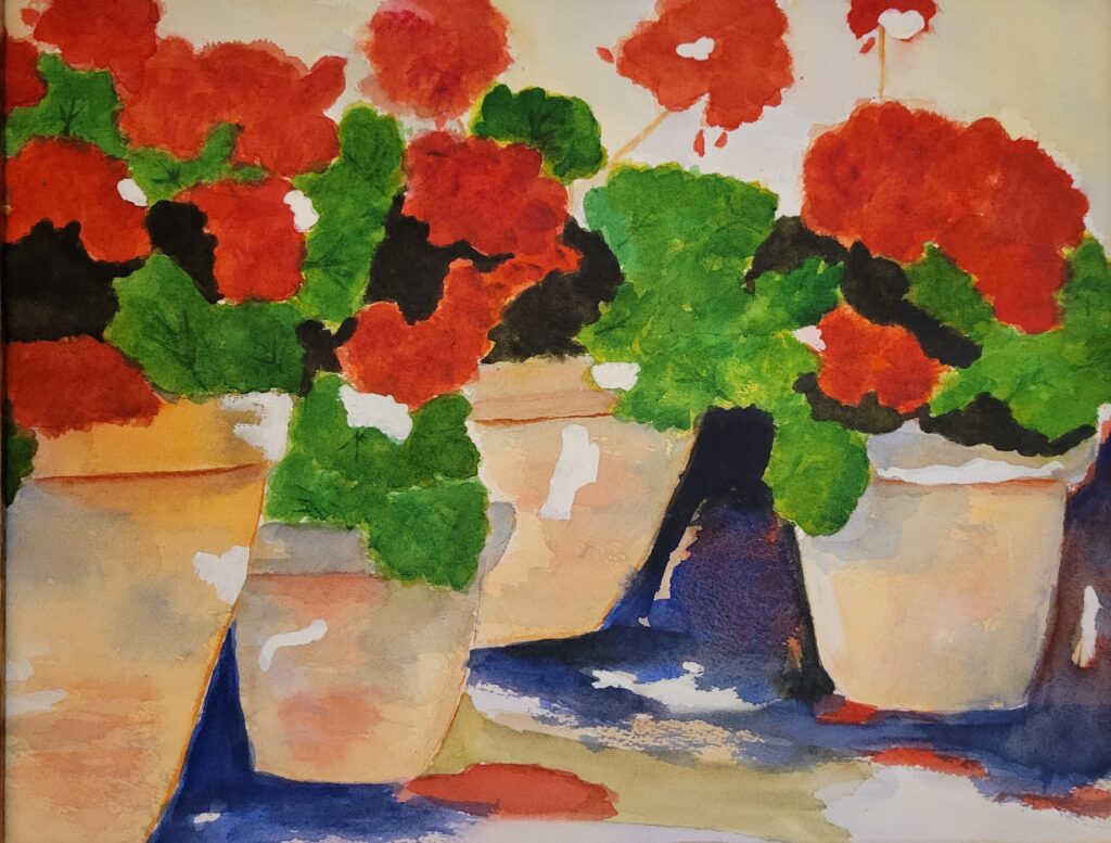 Red Geraniums