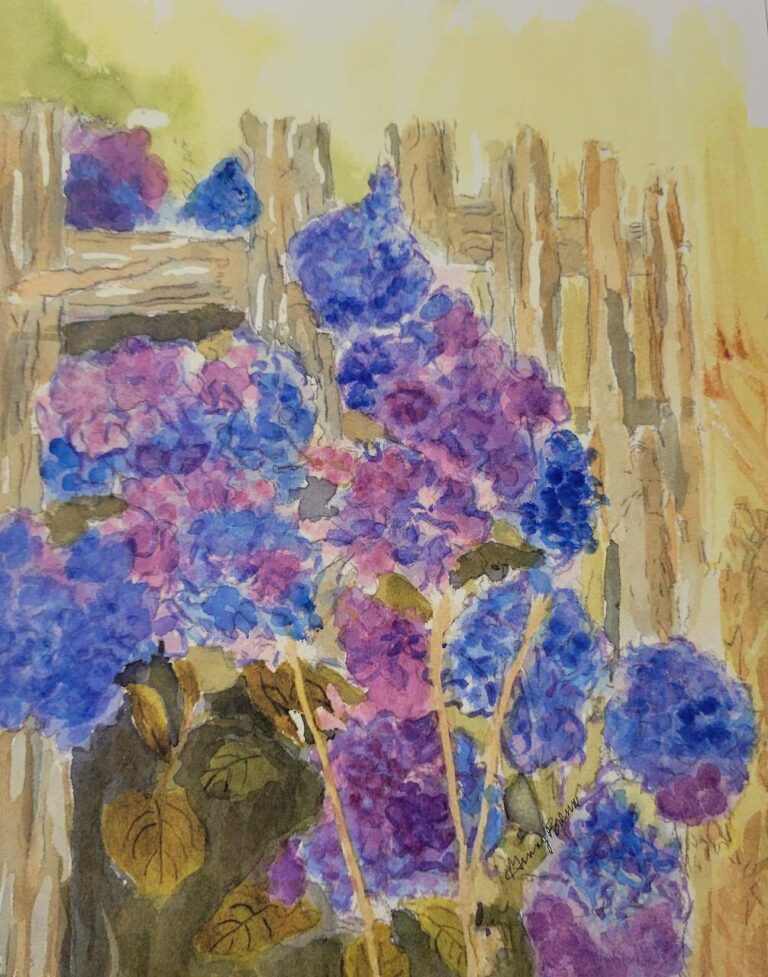 Hydrangea Climbing Fence